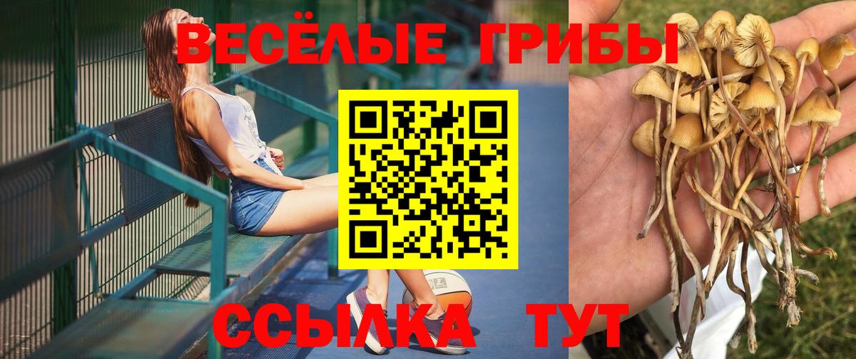 Галлюциногенные грибы GOLDEN TEACHER Кисловодск