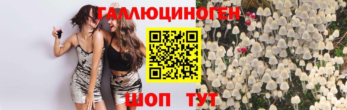 Псилоцибиновые грибы GOLDEN TEACHER  Галлюциногенные грибы MAGIC MUSHROOMS  Кисловодск  Вход с VPN 